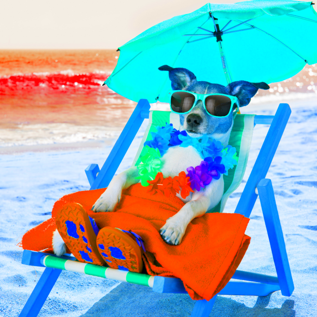 Sun Tanning is Dangerous: Protect Your Skin with a Stylish Surf Hat