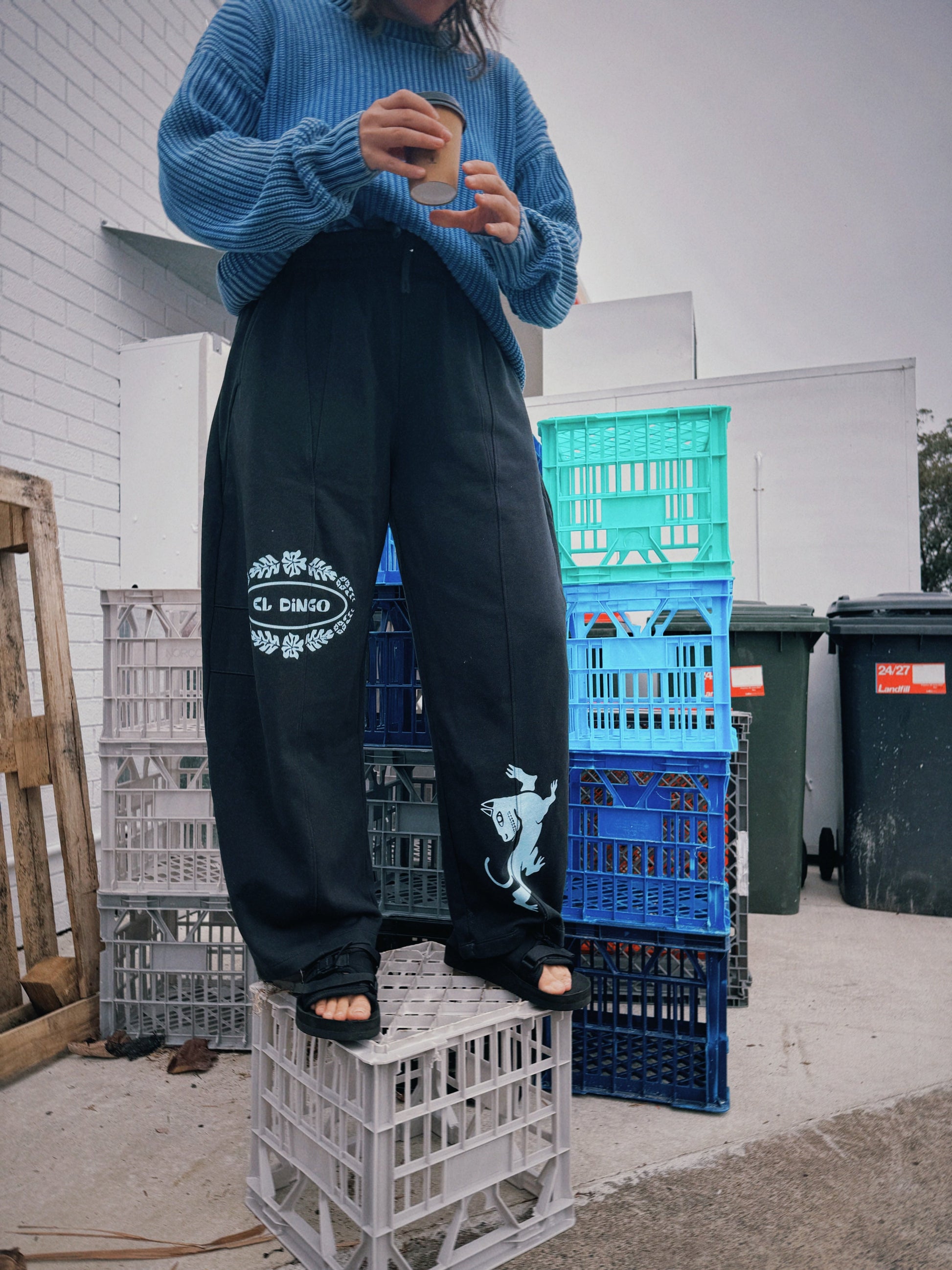 pants,apparel,sweats,sweatpants