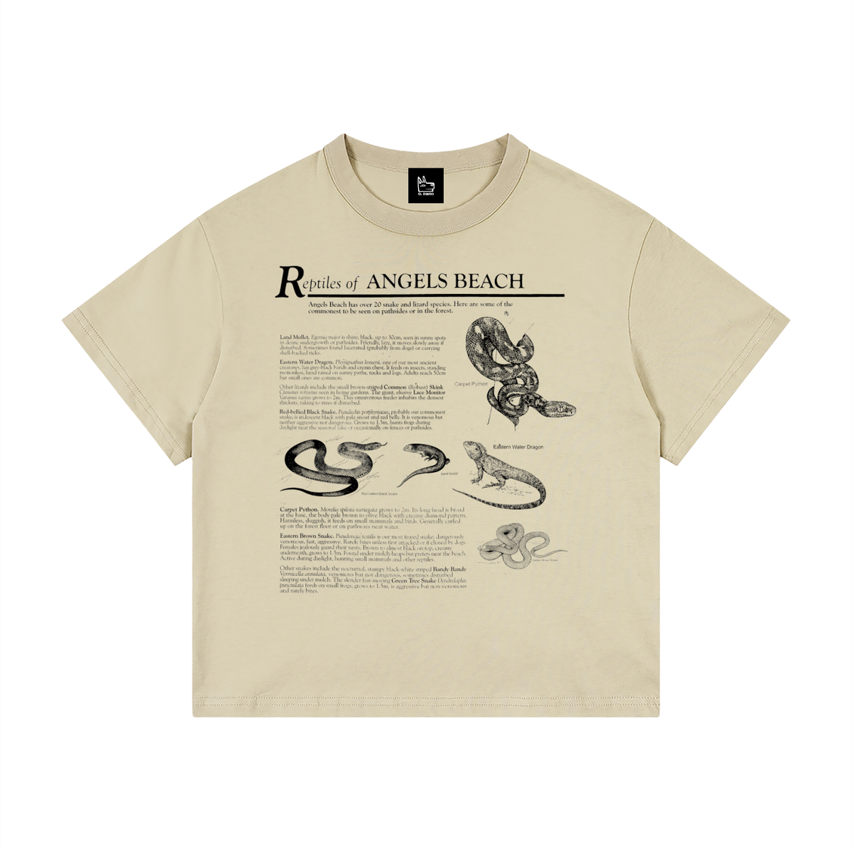 Kid's Loose Fit Drop Shoulder T-Shirt - El Dingo