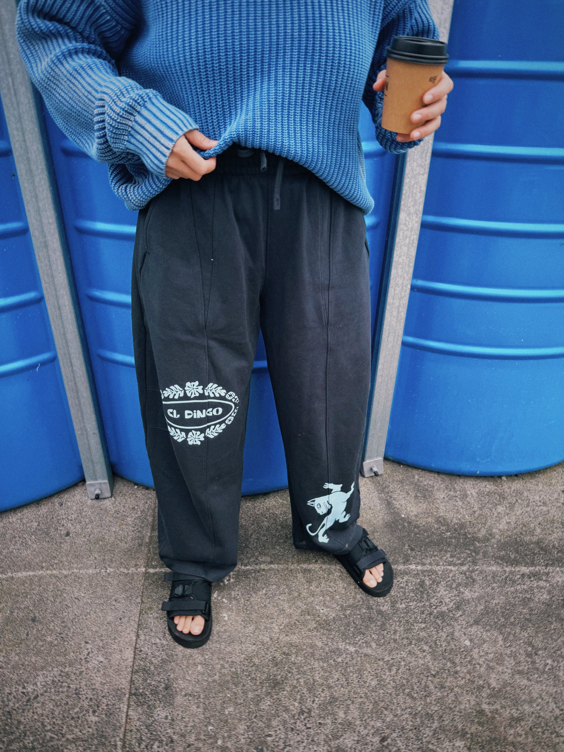 pants,apparel,sweats,sweatpants