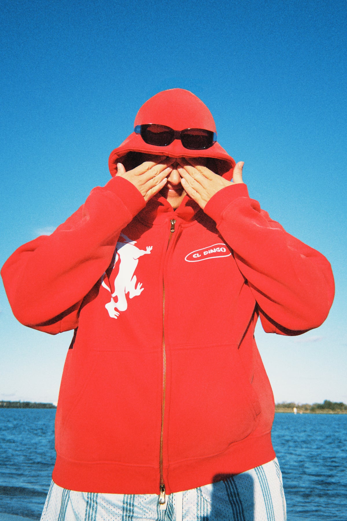 Illawarra Panther Zip Up Hoodie - El Dingo