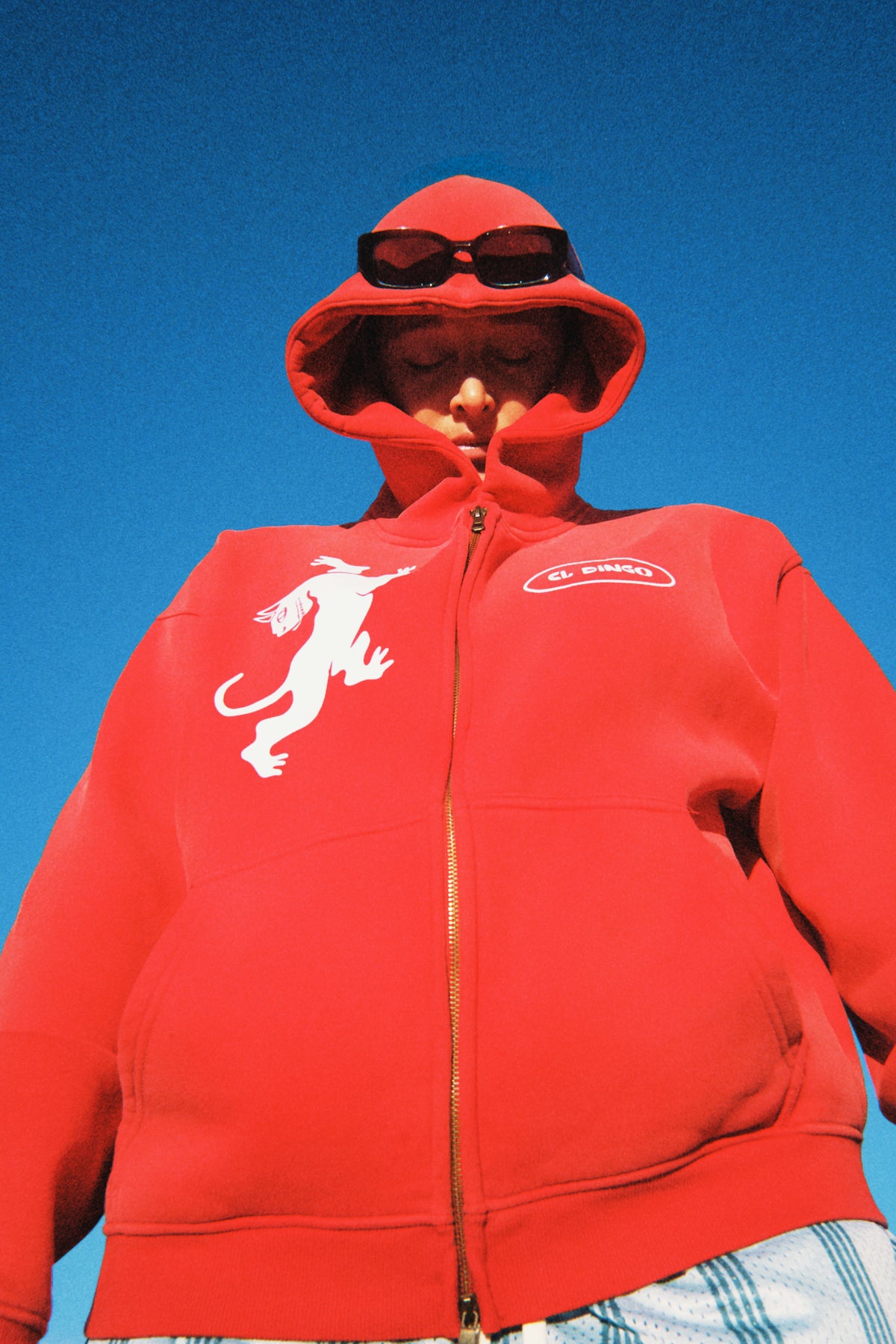 Illawarra Panther Zip Up Hoodie - El Dingo